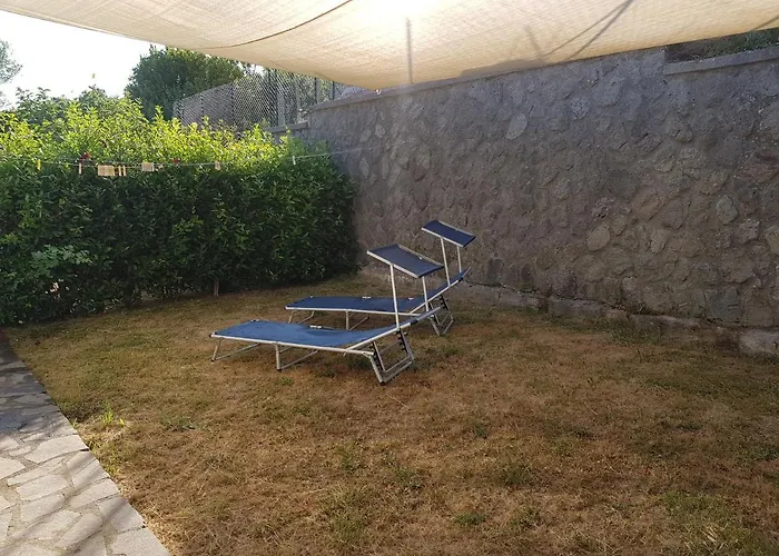 Marroneto
